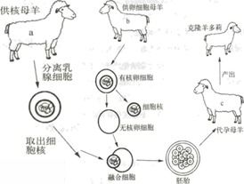 現代生物技術 初中生物測試題與答案解析