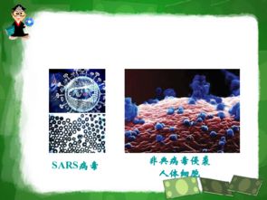 信息技術驅動下的生物技術藥物與疫苗研發新紀元